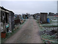 Pickards Field allotments