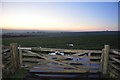 Exmoor : Gate & Field