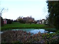 Pond by the A286 at Birdham