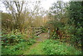 Footbridge over the Blackwater River