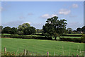 Farmland north of Market Drayton, Shropshire