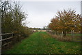 Footpath to Rabbit Shaw