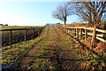 Track to a field near Norley