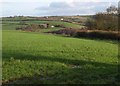 Towards the Taw valley