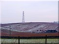 Muirmailing, ploughed fields