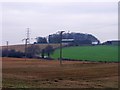 Fields of stubble