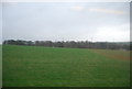 Farmland north of the A35