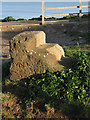 Cut bench mark in old mounting block