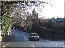 SJ9072 : Macclesfield - Ivy Lane at Valley Road by Peter Whatley
