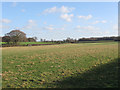 TQ5512 : Upper Meadow/Three Acres/Upper Field by Simon Carey