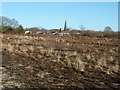 A dry and barren Pound Common