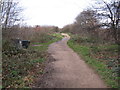 The Parkland Walk, looking north