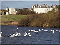 The Fleet at Moonfleet Manor