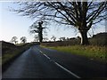 Trees on Pexhill Road