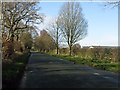 Forty Acre Lane near Beechwood Farm