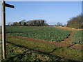 Footpath to Weaverley Furze