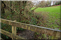 The view downstream from a footbridge on Coney Gut at Coombe Farm