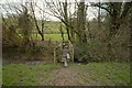 A footbridge on Coney Gut at Coombe Farm