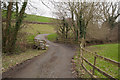 A driveway passing over Coney Gut near Youldon House