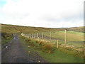 New fencing along Limers Gate