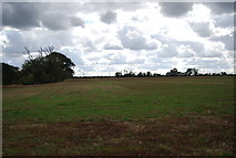 TM1349 : Farmland, Claydon Hall by N Chadwick