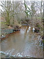 The Cwm Brook