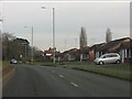 Bungalows on Henwood Road