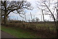 Hop field at Wagstaff Farm