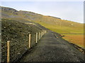 Bridleway beside Dry Rigg Quarry