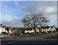 The green at the junction of Caird Street and Hardwick Avenue, Chepstow Garden City