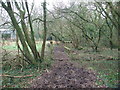 Footbridge, near Holt