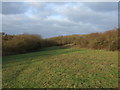 Meadow in Langdon Nature Reserve