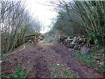 SO3829 : A bit of woodland management by Jonathan Billinger