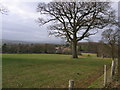 From the bridleway, view to Hidcote Bartrim