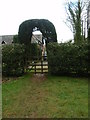 Topiary entrance /exit at Duncombe Wood