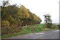 Footpath off Molehill Rd by Ash Plantation