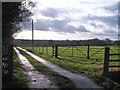 Footpath and farm track, Brackenthwaite Lane