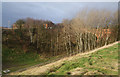 Former railway cutting going under Ringley Road