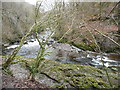 Bend on the Afon Nedd Fechan