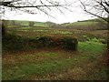 Field entrance by Dry Lane