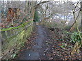 Footpath, Martin Bank Wood