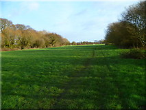 SZ8698 : Field footpath south of Marsh Farm by Shazz
