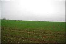 TR1863 : Farmland near Calfs Wood by N Chadwick