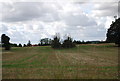 A wooded pond amongst farmland