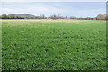 View to Churchdown Hill