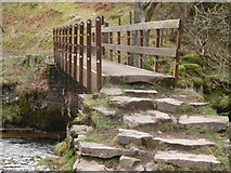 SN9211 : Footbridge over the Afon Mellte by Jeremy Bolwell