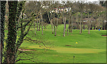 J4682 : Golf course, Helen's Bay (1) by Albert Bridge