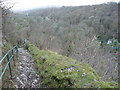 Path on Craig y Ddinas above Pontneddfechan