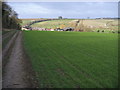 Path nearing Asthall Farm