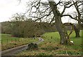 Lane into the Lew valley